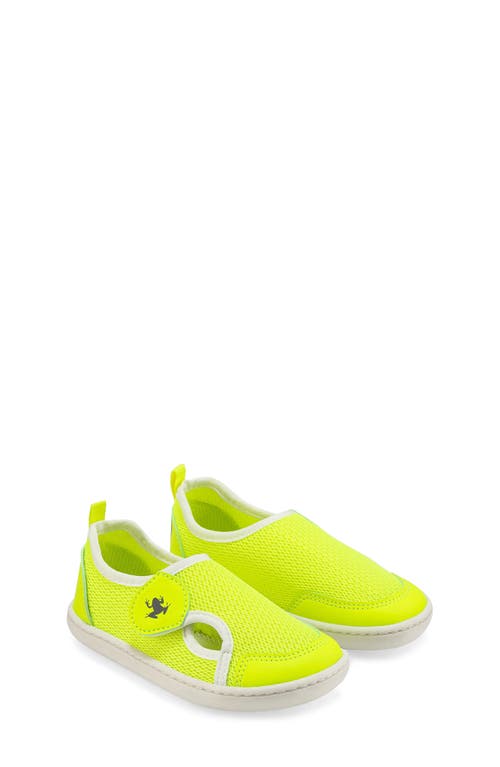 Hopfrög Kids Kids' Multi Mix Barefoot Sneaker In Neon Mix