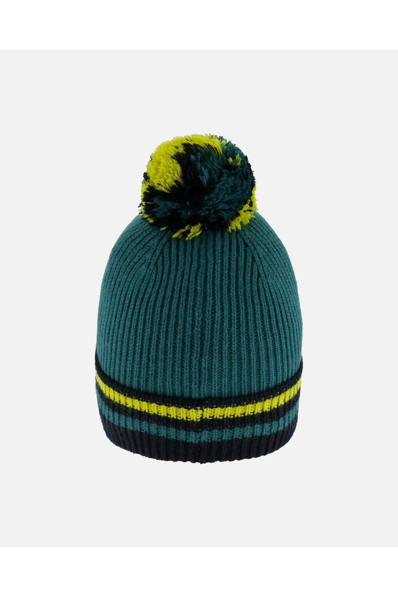 Boy's Knit Hat Forest Green, Alternate, color, Bayberry
