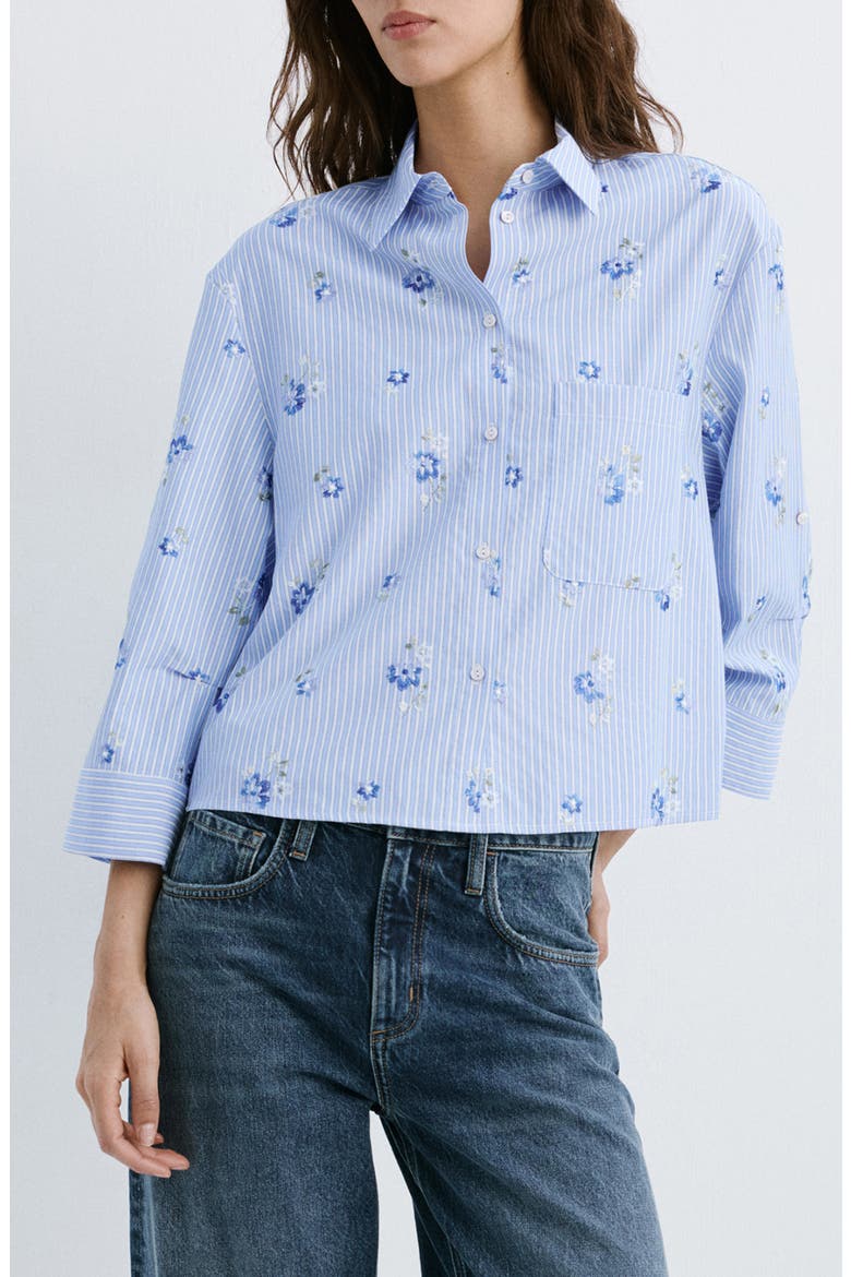 Embroidered Stripe Button-Up Shirt, Main, color, SKY BLUE