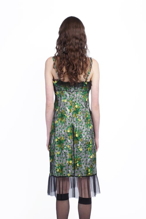 Anna Sui Rosebuds And  Lace Combo Dress In Multi