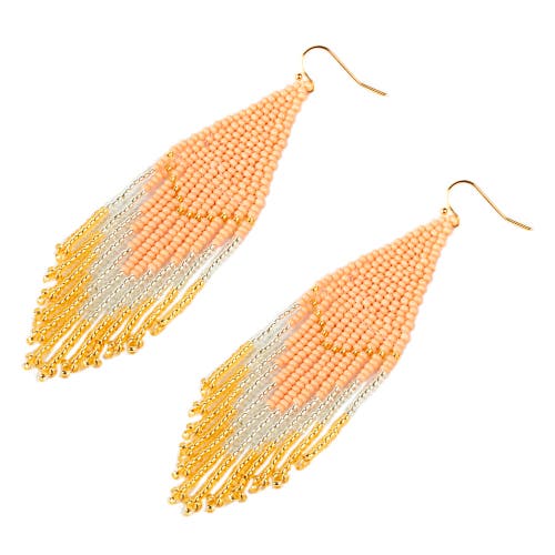 Fosterie Black & Silver Earrings In Multi