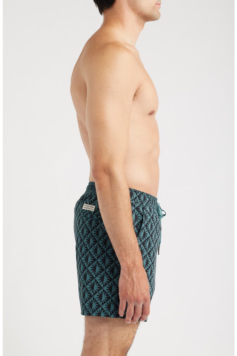 The Bungalow Sun Print Water Repellent Swim Trunks, Alternate, color, SEAPINE SUNS
