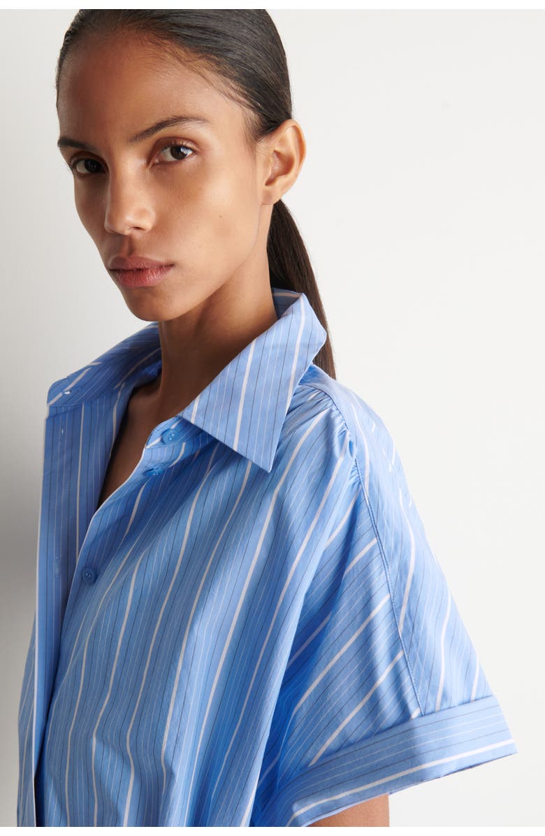 COS Striped Short-sleeved Cotton Shirt Dress, Alternate, color, Blue / Striped