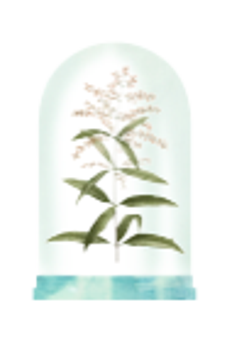 Verbena Eau de Cologne, Alternate, color, Clear