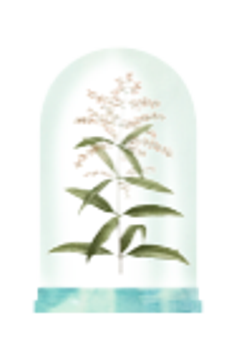 GRANADO Verbena Eau de Cologne, Alternate, color, Clear