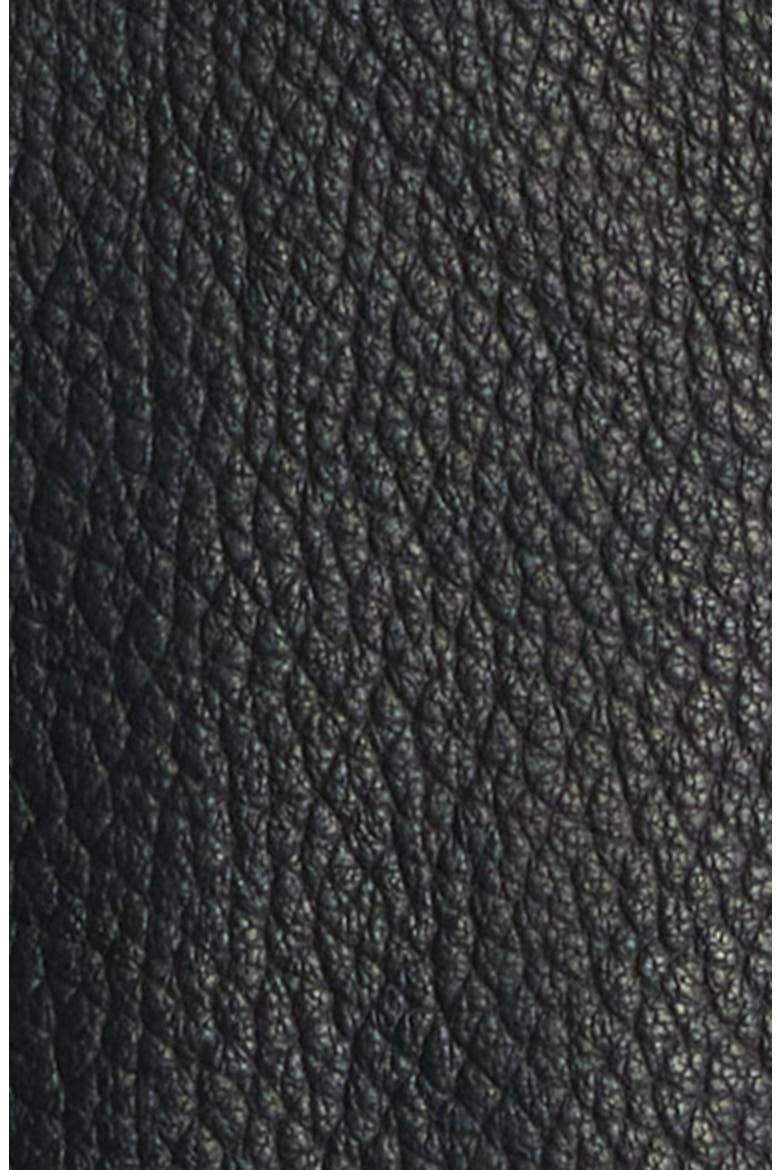 Monier Black Leather Zip Jacket, Alternate, color, BLACK