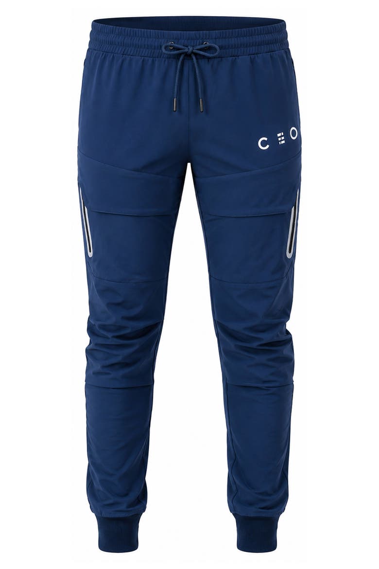 Performance Joggers, Alternate, color, BLUE