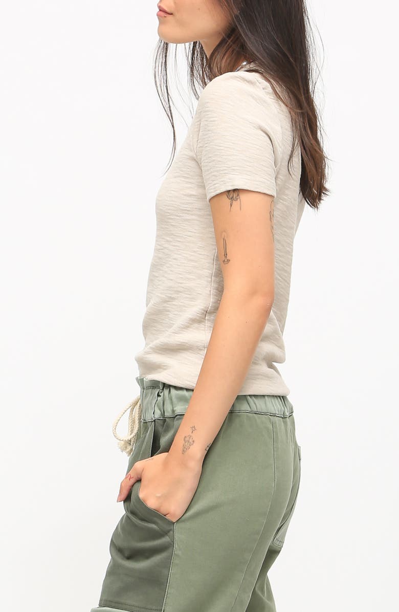 Electric & Rose '90s Cotton T-Shirt, Alternate, color, Stone