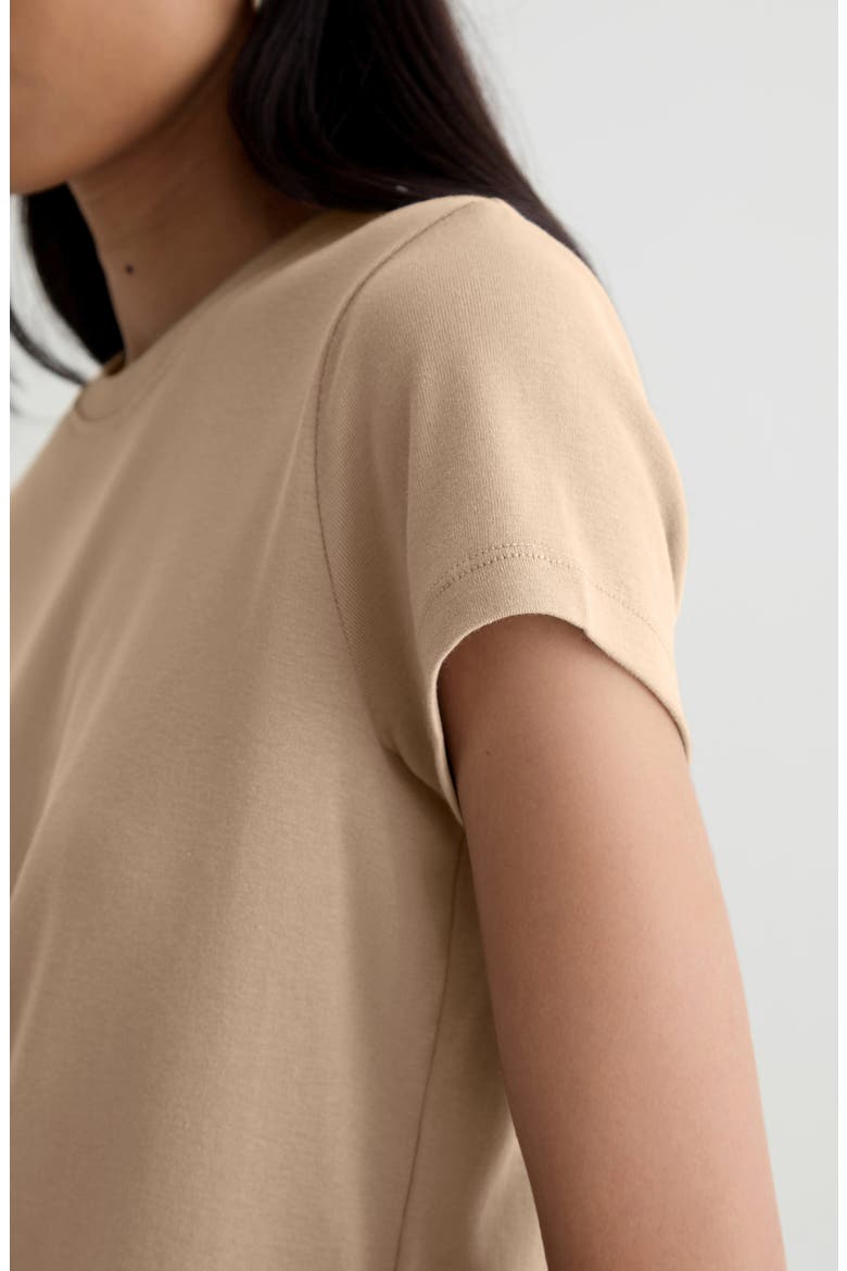 Sadie Crop T-Shirt, Alternate, color, KHAKI SAND