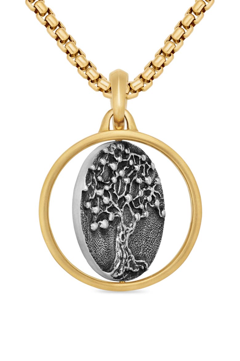 Life & Death Duality Amulet in Sterling Silver with 18K Yellow Gold, Alternate, color, STERLING SILVER WITH 18K GOLD