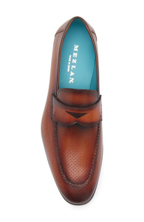 Mezlan Cueva Perforated Penny Loafer In Cognac Rust