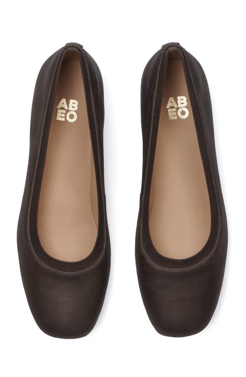 Abeo Cadence Ballet Flat In Fossil - Regular
