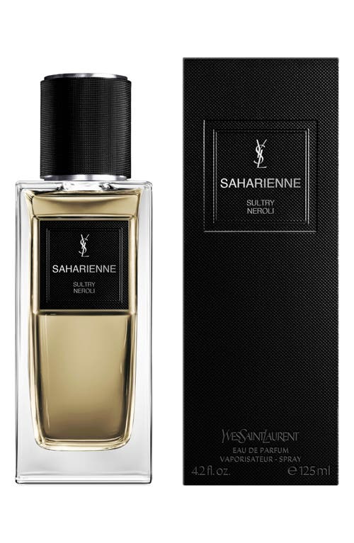Saint Laurent Yves Saharienne In Transparent