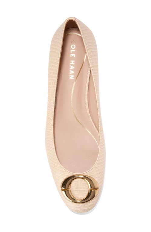 Cole Haan Skylar Ballet Flat
