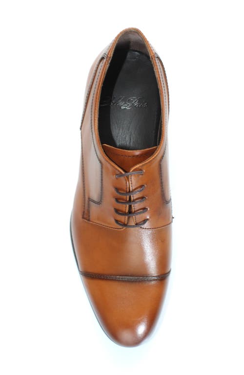 Vellapais Yardley Cap Toe Derby In Brown