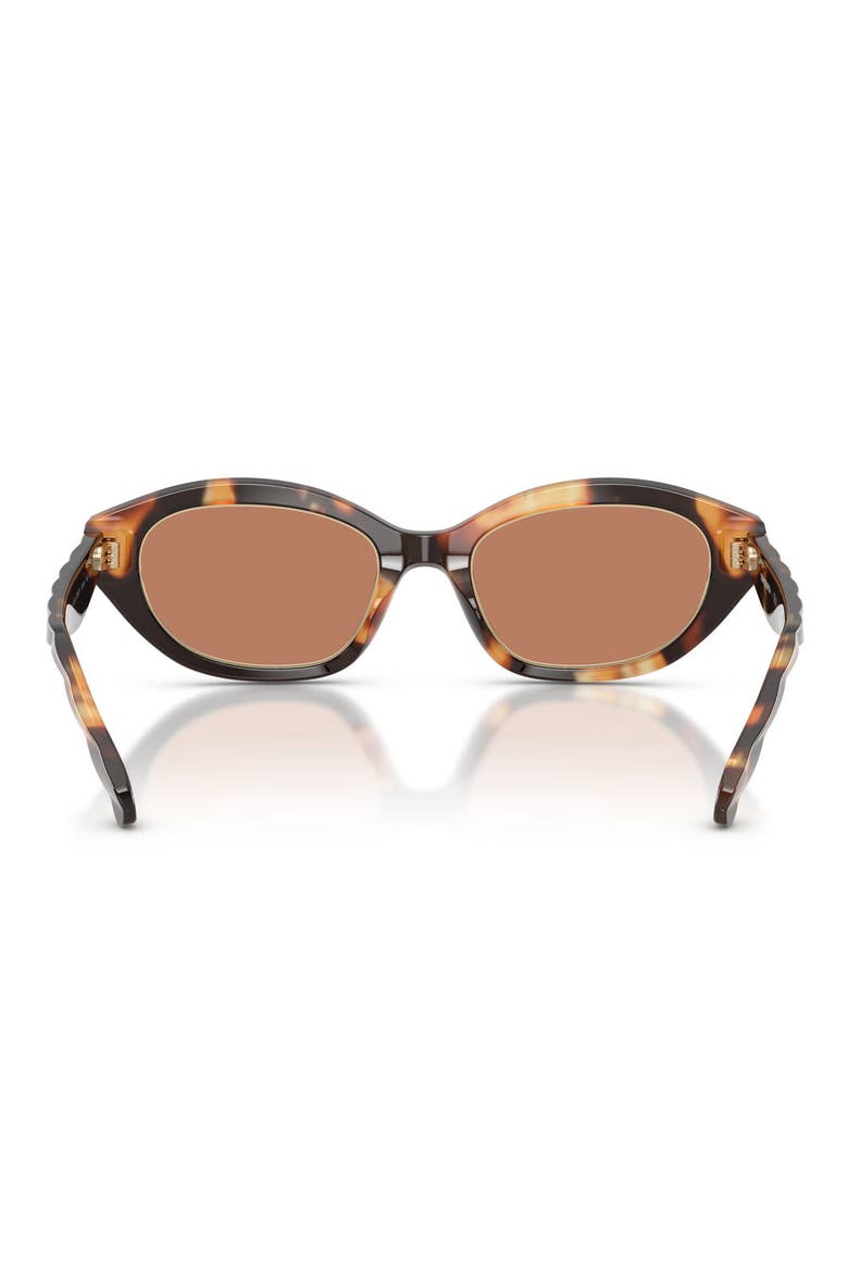 52mm Irregular Sunglasses, Alternate, color, CONTRAST TORTOISE / AMBER