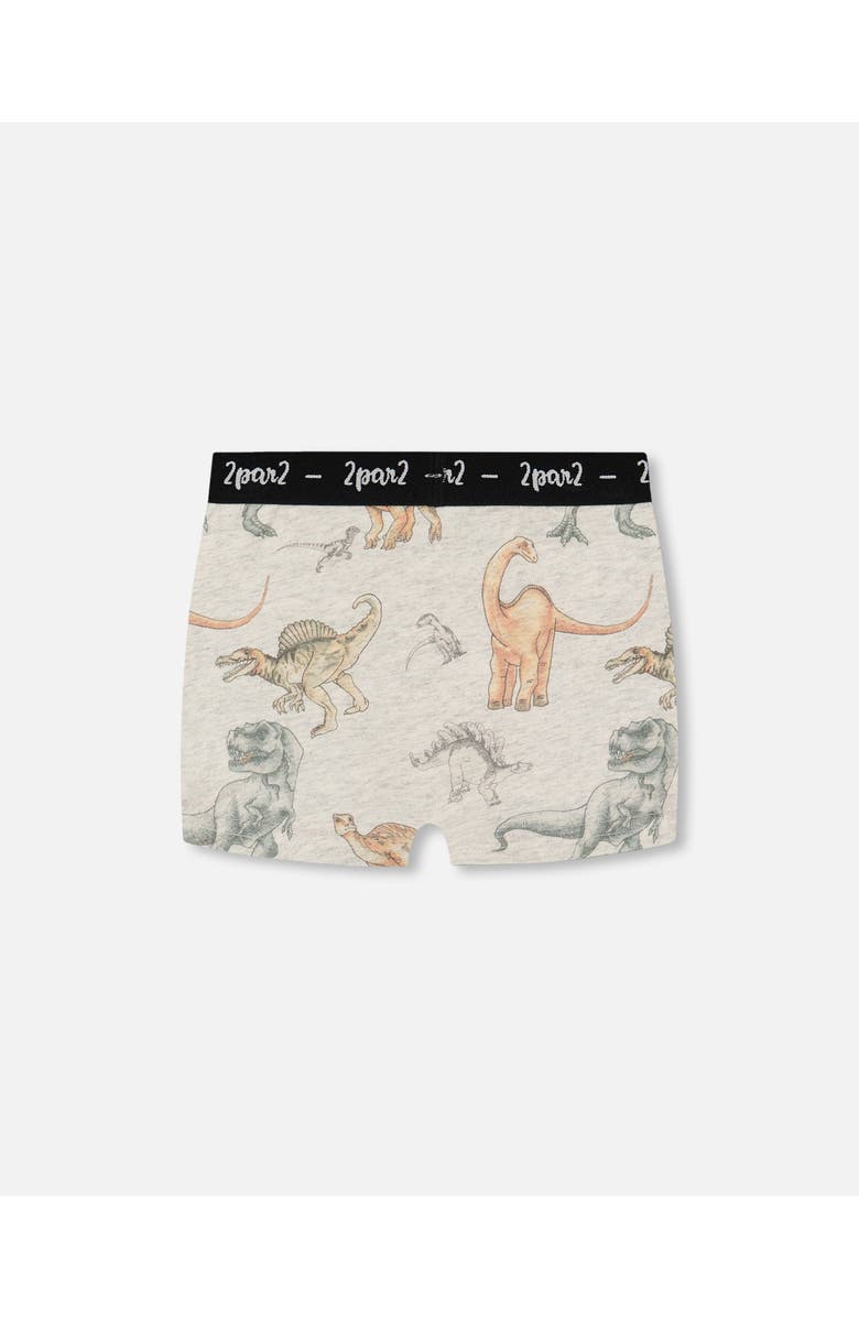Deux par Deux Boy's Printed Organic Cotton Boxer Shorts Dinosaur On Mottled And Tan Background, Alternate, color, Dinosaur On Mottled And Tan