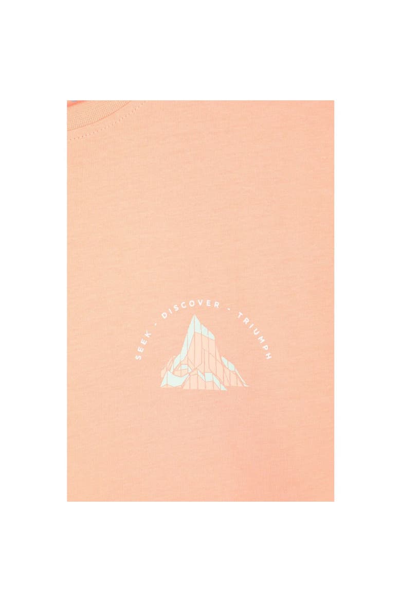 Techy Mountain Relaxed Fit T-Shirt, Alternate, color, Light Pink