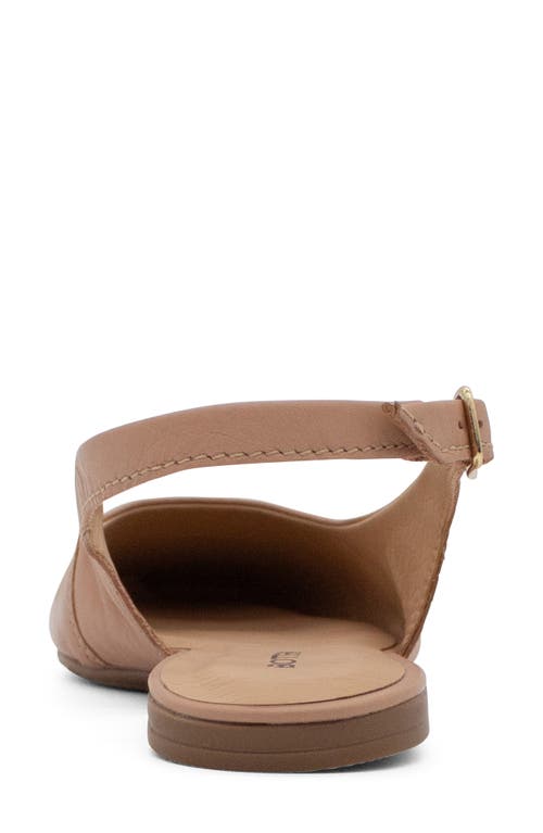Bottero Botsamya Xxiv Slingback Flat