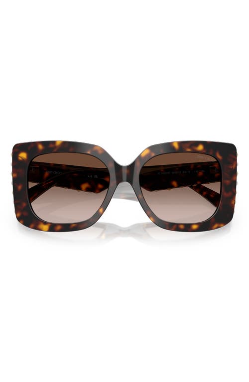 Jimmy Choo 54mm Butterfly Sunglasses In Havana