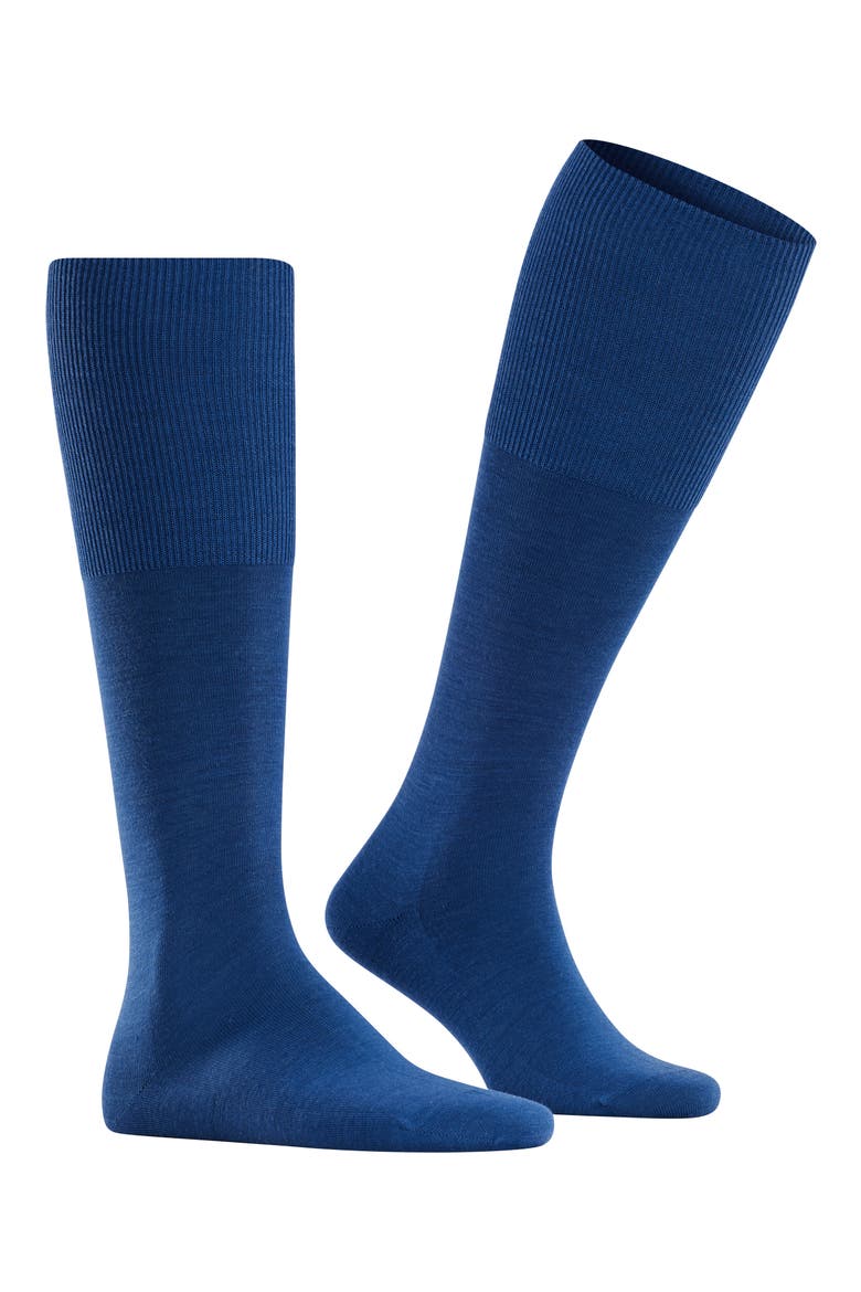 Airport Knee High Socks, Main, color, ROYAL BLUE
