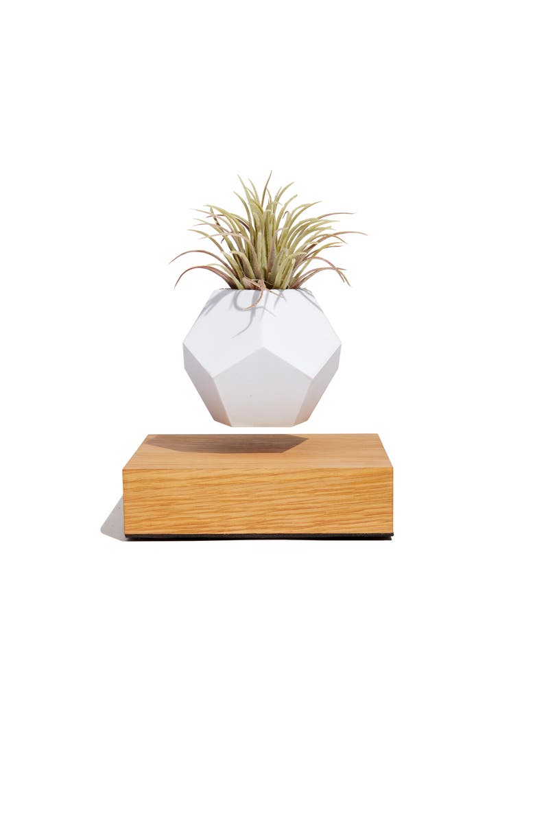 FLYTE Lyfe Levitating Planter, Main, color, 