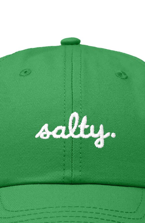 Shop Dalix Salty Embroidered Everyday Hat In Kelly Green