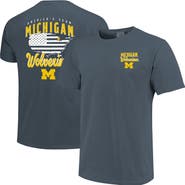 IMAGE ONE Men's Navy Michigan Wolverines America's Team T-Shirt