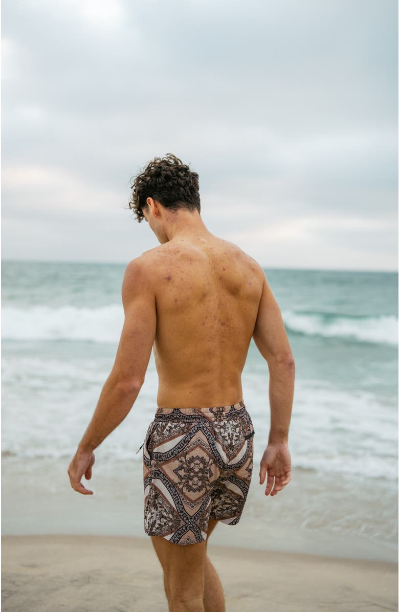 Ivy Swimwear Bruno Shorts, Alternate, color, Brown Mosaic