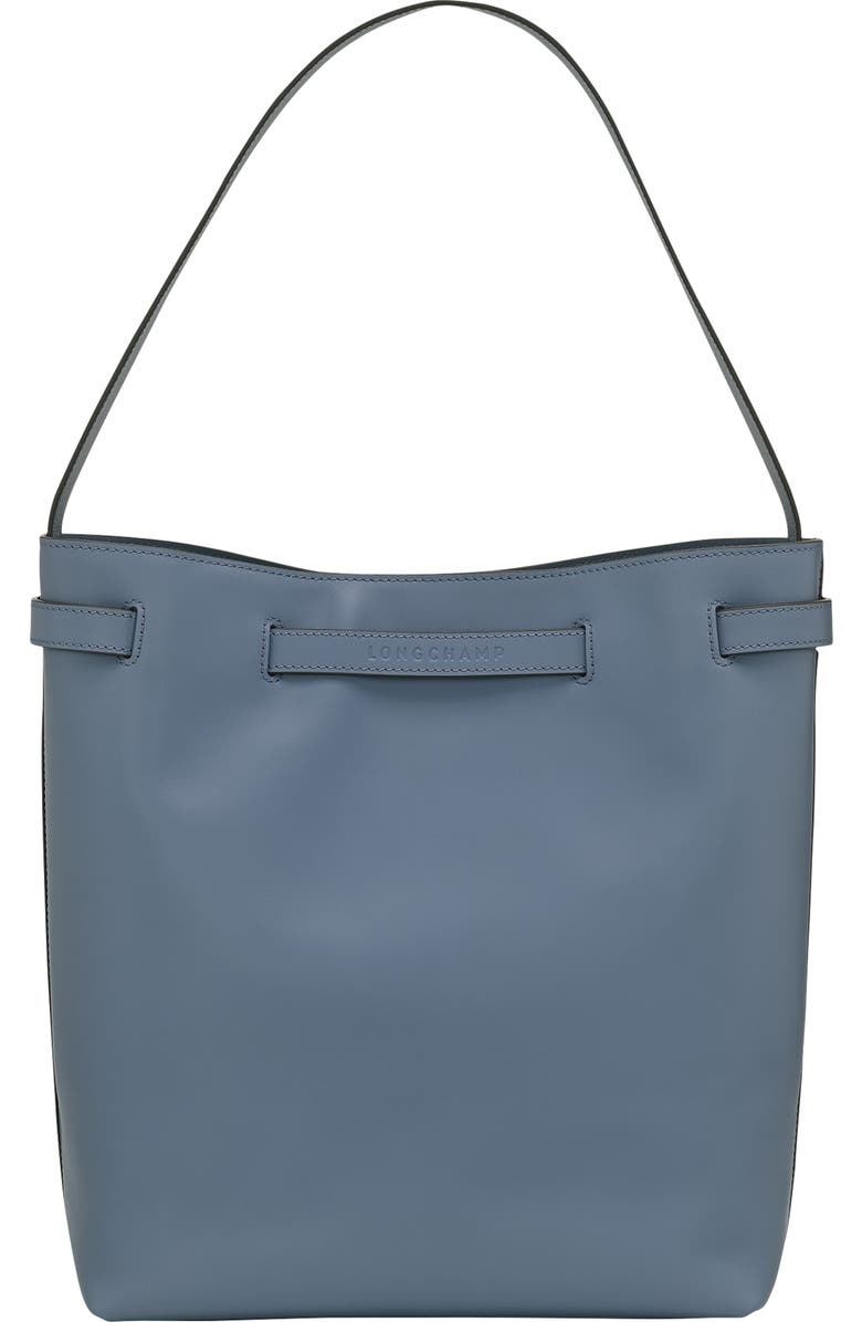 Longchamp Le Roseau Smart Leather Hobo Bag, Alternate, color, Slate