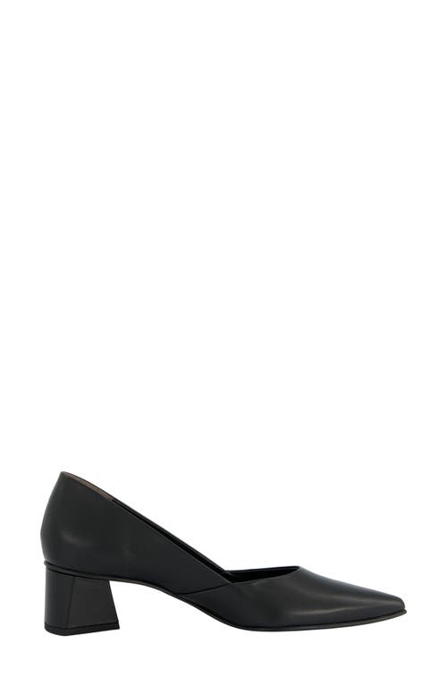 Paul Green Witt Pointed Toe Pump In Black Softnappa