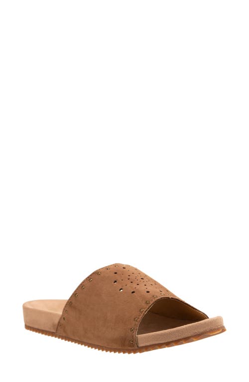 Revitalign Sofia Stud Slide Sandal In Brown
