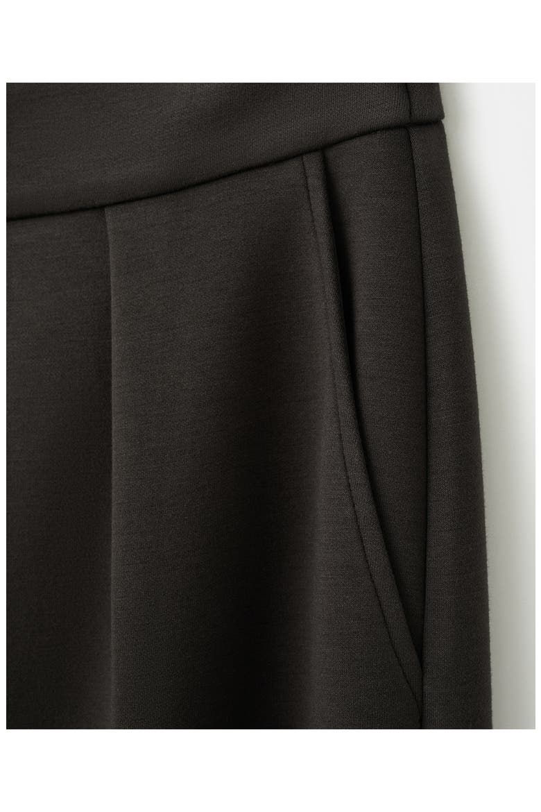 Pleated Elastic Waist Pants, Alternate, color, CHOCOLATE