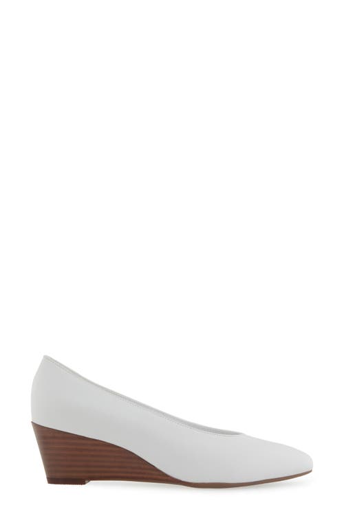 AEROSOLES AEROSOLES CARUZO WEDGE PUMP