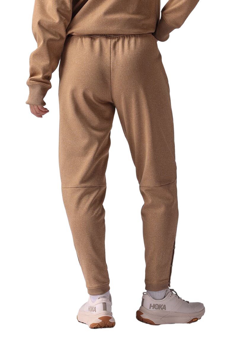 Meltdown Water-Resistant Pant - Women's, Alternate, color, Bistre