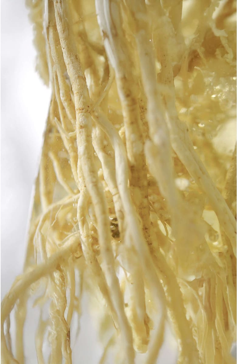 Pyunkang Yul Essence Toner, Alternate, color, NO COLOR