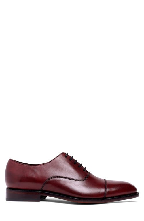 Anthony Veer Clinton Cap Toe Oxford In Oxblood