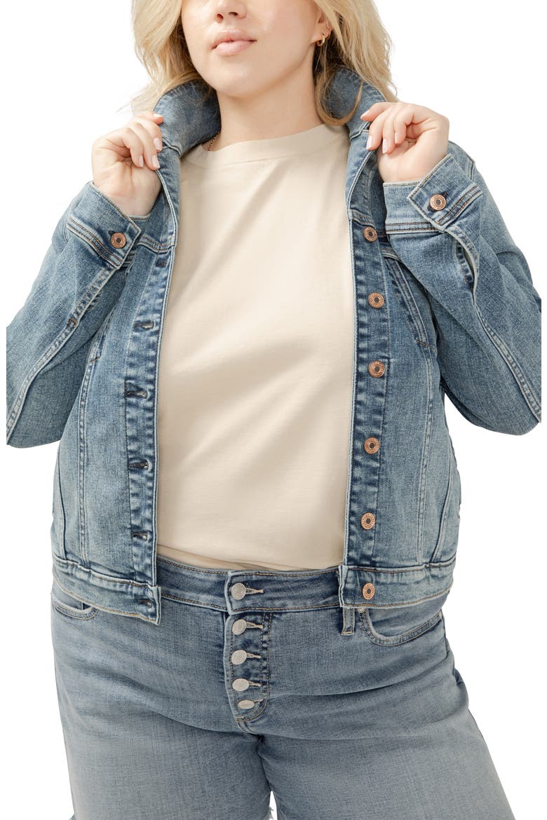 Fitted Denim Jacket, Alternate, color, INDIGO