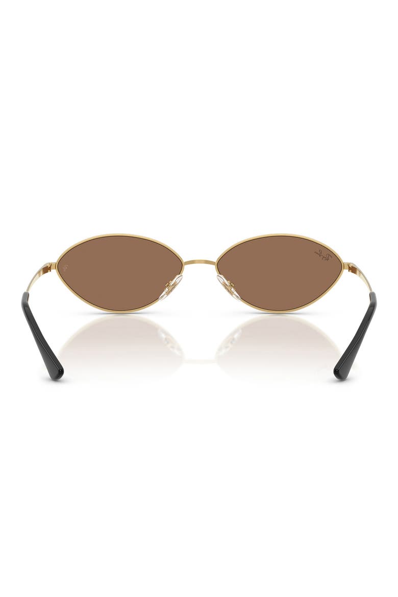 Kai 56mm Oval Sunglasses, Alternate, color, GOLD/ DARK BROWN