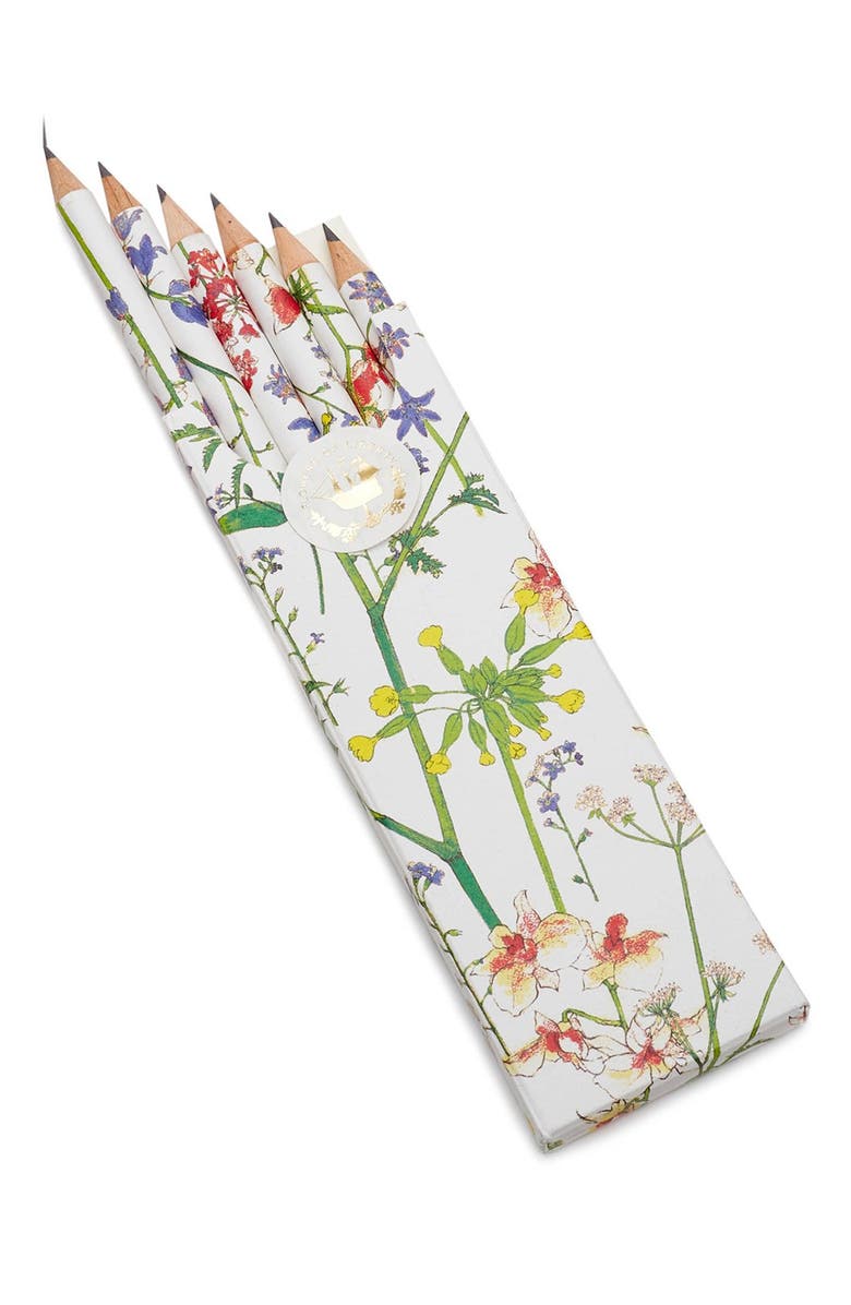 Flowers of Liberty Floral Print Pencils, Main, color, 