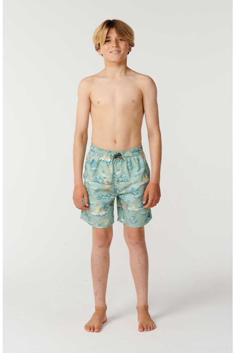 Kids' Tuals Volley Swim Trunks, Alternate, color, ALOE