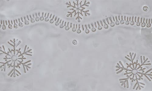 Creative Co-op Stoneware Tree Dish In Gray