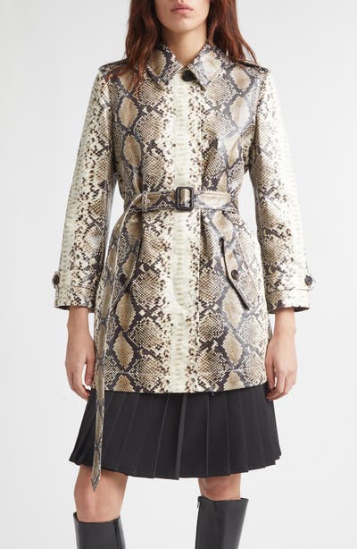 style board product image