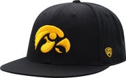 TOP OF THE WORLD Men's Top of the World Black Iowa Hawkeyes Team Color Fitted Hat