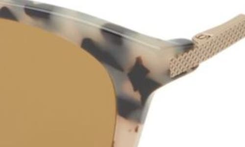 Eyebobs Statuette 51mm Polarized Cat Eye Sunglasses In Brown