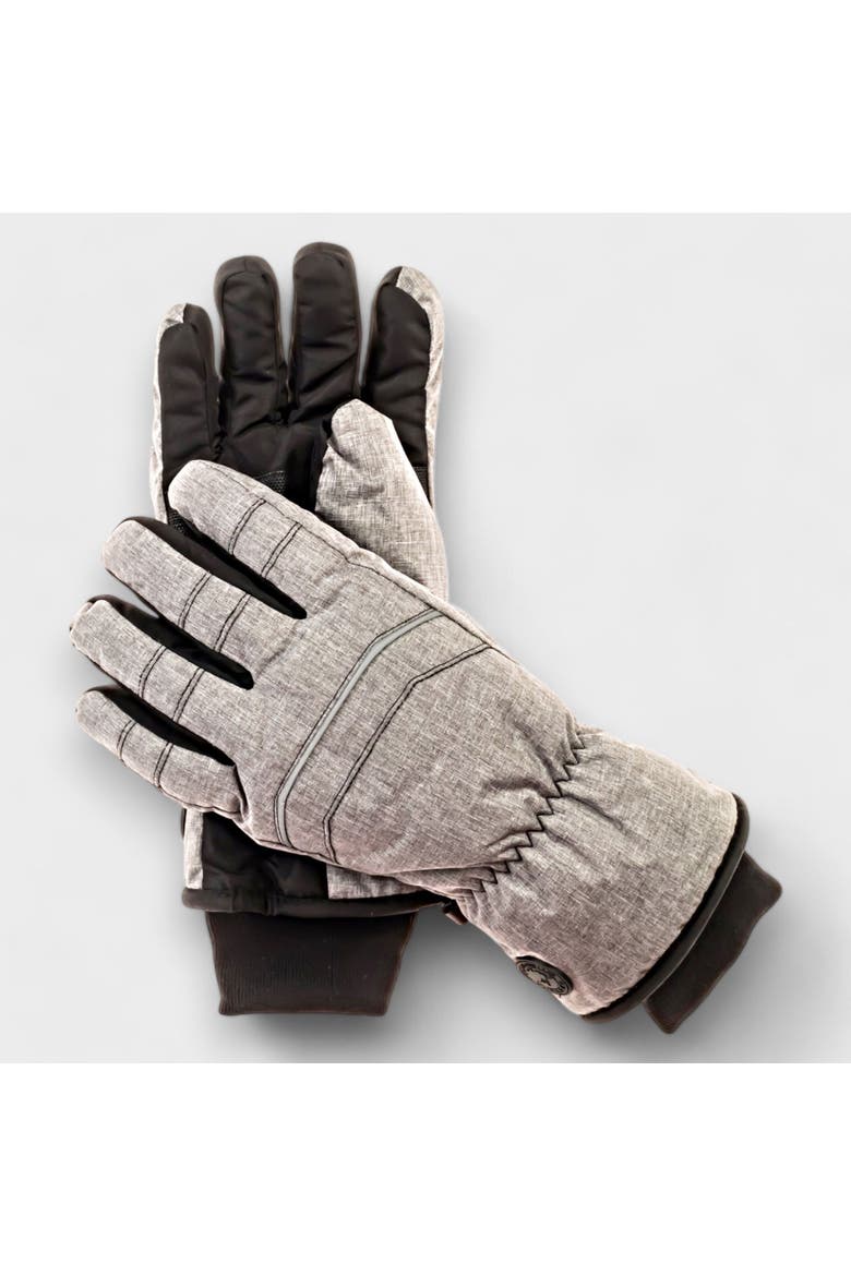 Men's Ski Gloves, Alternate, color, Grey