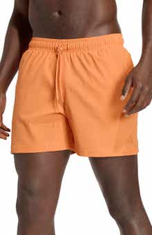 IconiSea 5-Inch Swim Trunks