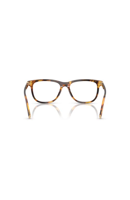 Miu Miu 54mm Phantos Optical Glasses In Brown