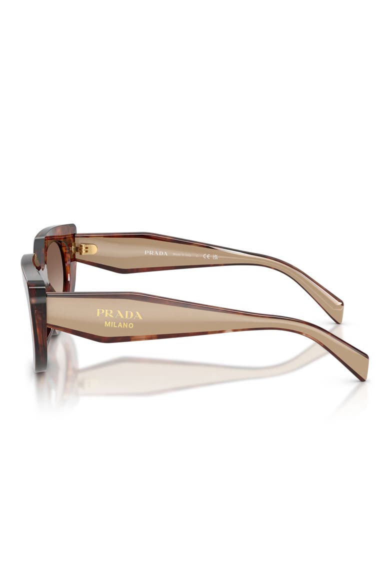 54mm Oval Sunglasses, Alternate, color, CARAMEL TORTOISE / BROWN
