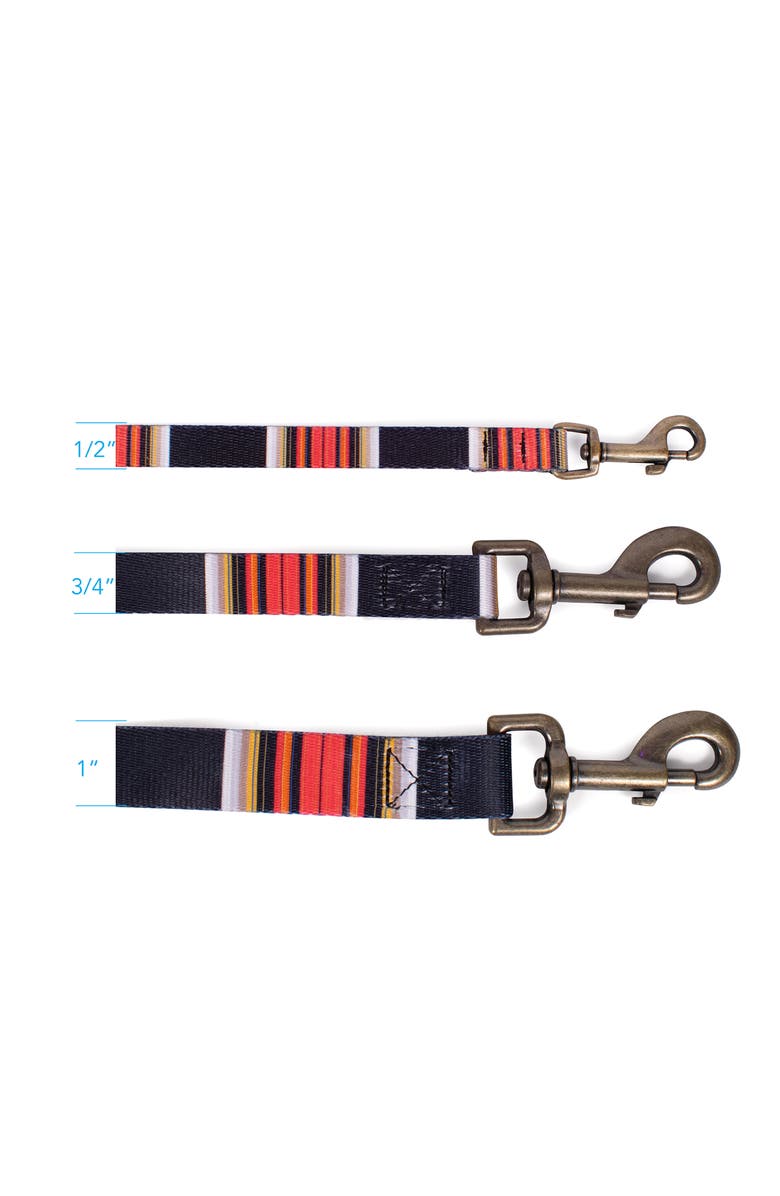 Pendleton National Park Adventure Leash, Alternate, color, Acadia
